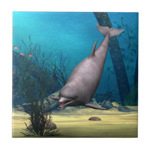 Azulejo De Cerámica Delfín