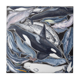 Azulejo De Cerámica Delfines, orcas, belugas y narvales