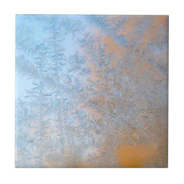 Azulejo De Cerámica Delicado patrón de escarcha, Wisconsin (Frente)