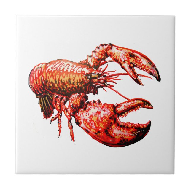 AZULEJO DE CERÁMICA DENTRO DE LAS GARRAS (Frente)