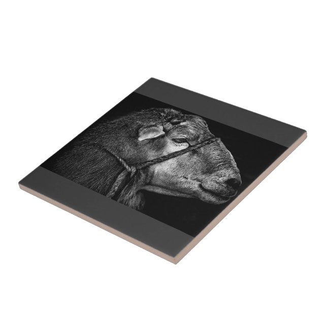 Azulejo De Cerámica derecho siguiente (Lado)