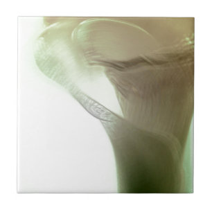 Azulejo De Cerámica Detalle romántico de las flores