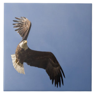 Azulejo De Cerámica Dibujar el cielo