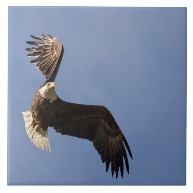 Azulejo De Cerámica Dibujar el cielo (Frente)