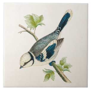Azulejo De Cerámica Dibujo azul de los pájaros del pájaro cantante d