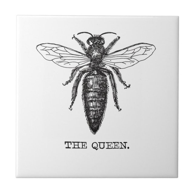Azulejo De Cerámica Dibujo clásico del Ilustracion Queen Bee (Frente)