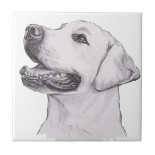 Azulejo De Cerámica Dibujo clásico del perfil del perro del labrador