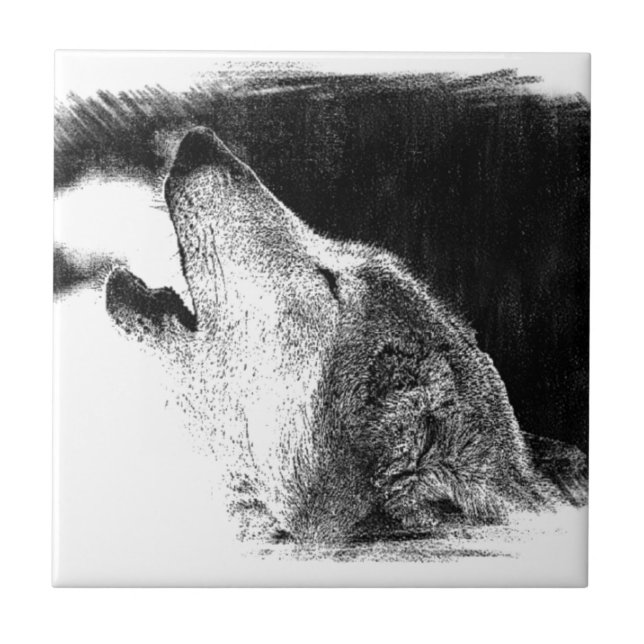 Azulejo De Cerámica Dibujo de sketch de lobo gris negro y blanco (Frente)