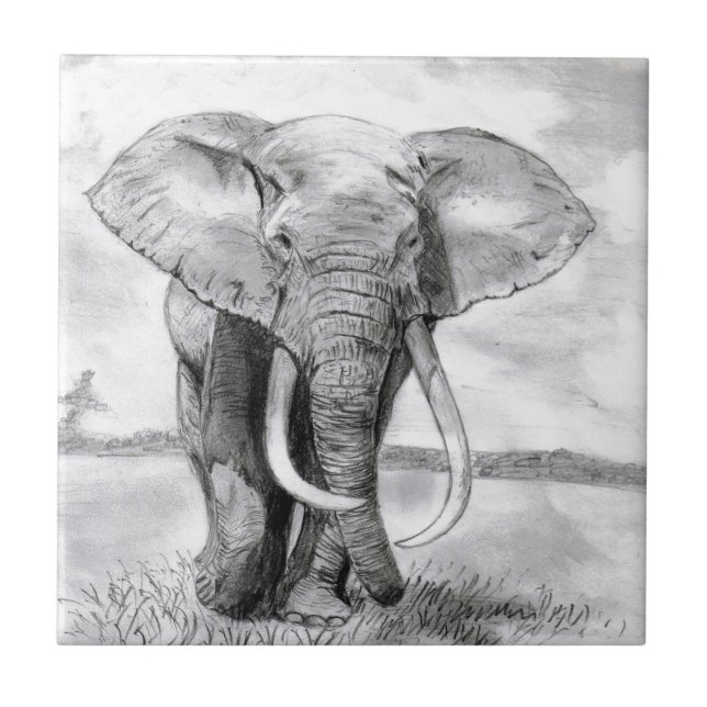 Azulejo De Cerámica dibujo del elefante africano en diseño del lápiz (Frente)