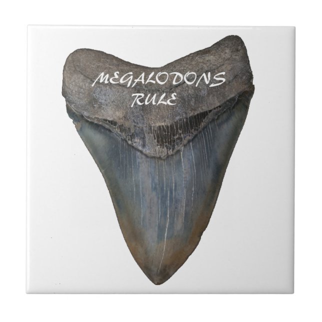 Azulejo De Cerámica Diente del tiburón de Megalodon (Frente)