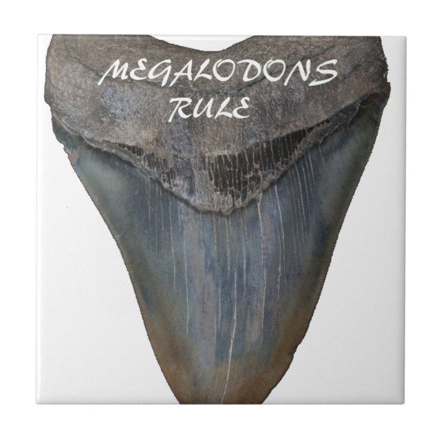 Azulejo De Cerámica Diente del tiburón de Megalodon (Frente)
