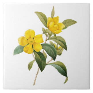 Azulejo De Cerámica Dillenia