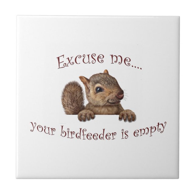 Azulejo De Cerámica Disculpe...tu alimentador de aves está vacío (Frente)
