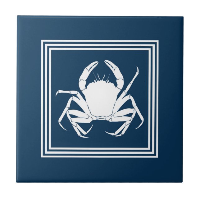 Azulejo De Cerámica Diseño acuático (Frente)