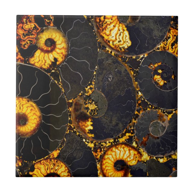 Azulejo De Cerámica Diseño de cáscara de Nautilus (Frente)