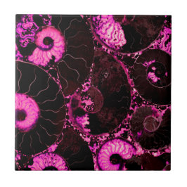 Azulejo De Cerámica Diseño de cáscara rosa de Nautilus