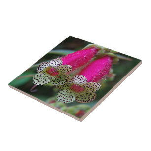 Azulejo De Cerámica Diseño de flores leopardo