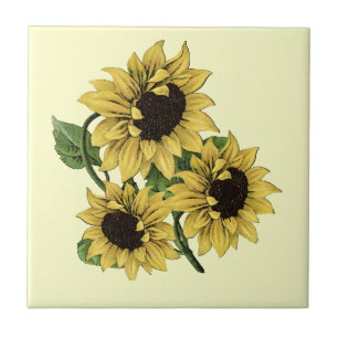 Azulejo De Cerámica Diseño de girasol de color de agua vintage