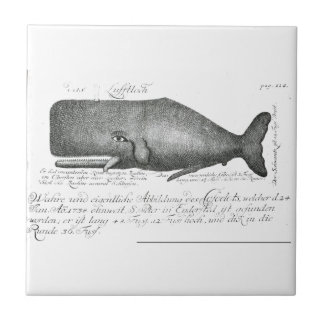 Azulejo De Cerámica Diseño de la ballena del vintage