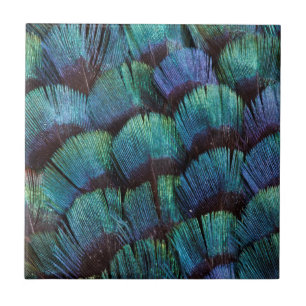 Azulejo De Cerámica Diseño de pluma de faisán azul-verde