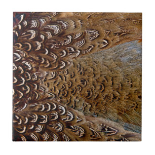 Azulejo De Cerámica Diseño de pluma de faisán marrón