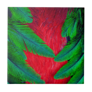 Azulejo De Cerámica diseño de pluma de Quetzal resplandeciente