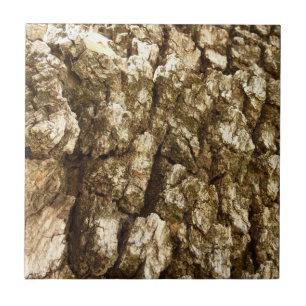 Azulejo De Cerámica Diseño Texturizado Natural de Corteza de Árbol II