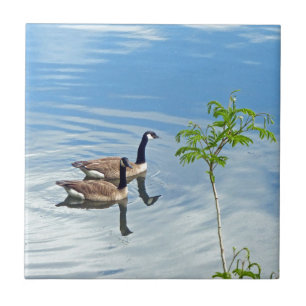 Azulejo De Cerámica Disfrutando de un baño