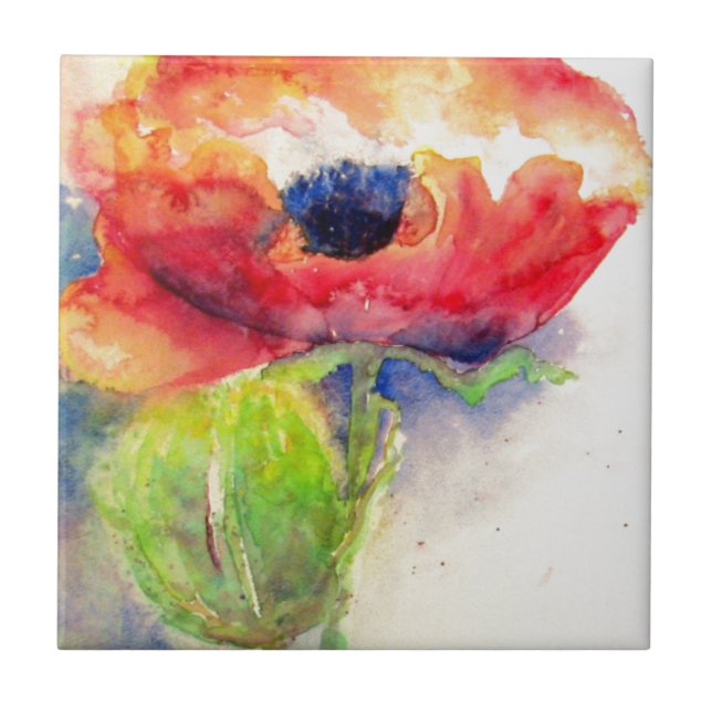 Azulejo De Cerámica Disparo (Frente)