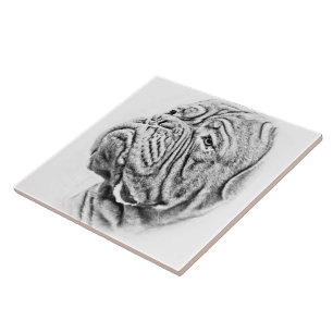Azulejo De Cerámica Dogue De Bordeaux - mastín francés