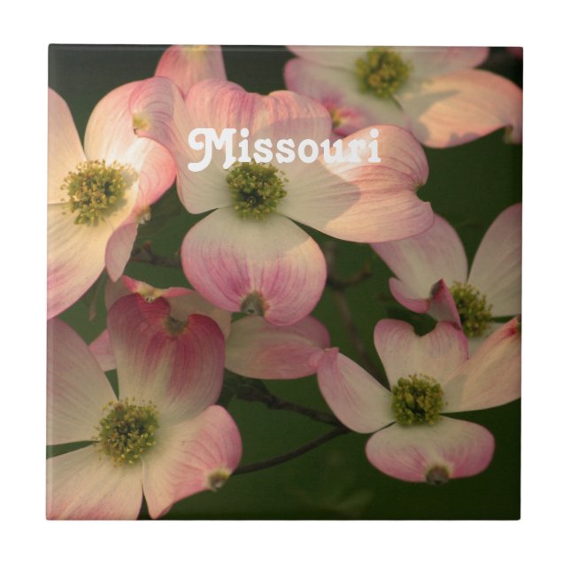 Azulejo De Cerámica Dogwood (Frente)