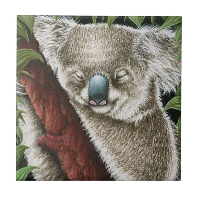 Azulejo De Cerámica Dormir Koala Tile (Frente)