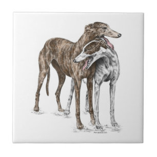 Azulejo De Cerámica Dos Greyhound Friends Dog Art