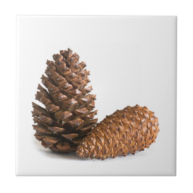 Azulejo De Cerámica Dos pinecones (Frente)