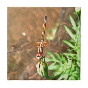 Azulejo De Cerámica Dragonfly artístico descansando sobre la cabeza de