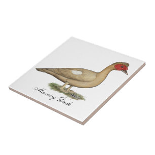 Azulejo De Cerámica Drake de chocolate ligero para hongos