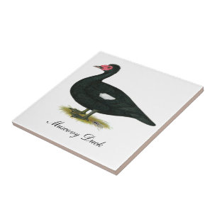 Azulejo De Cerámica Drake negro Muscovy