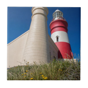 AZULEJO DE CERÁMICA _DSC2418