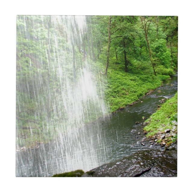 Azulejo De Cerámica Ducha de las naturalezas (Frente)