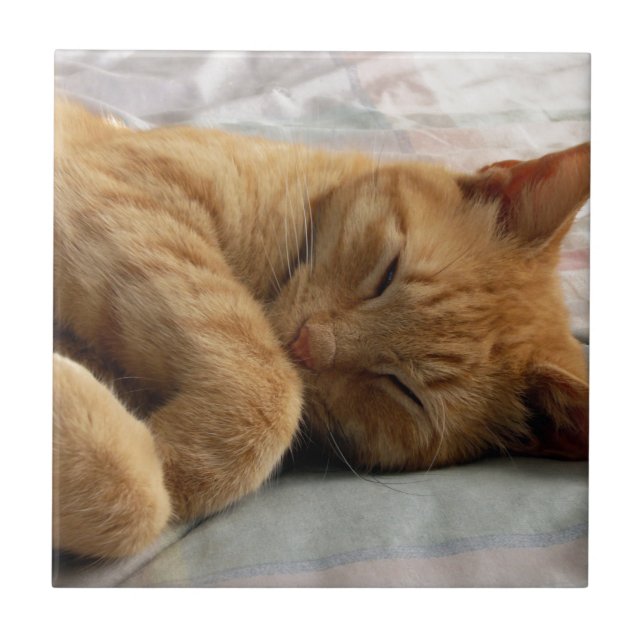 Azulejo De Cerámica Dulces sueños (Frente)