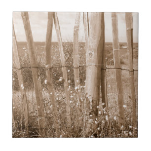 Azulejo De Cerámica duna