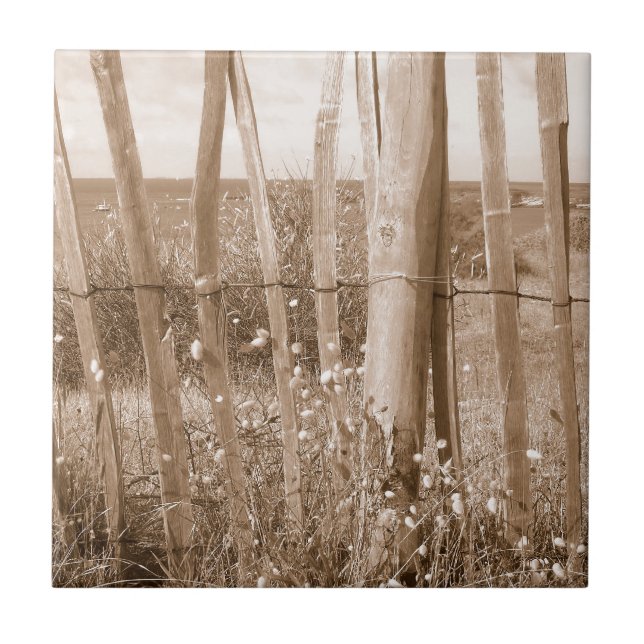 Azulejo De Cerámica duna (Frente)