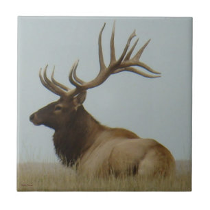 Azulejo De Cerámica E5 Alce Toro Grande