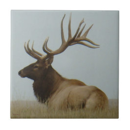 Azulejo De Cerámica E5 Bull Elk Huge Bull
