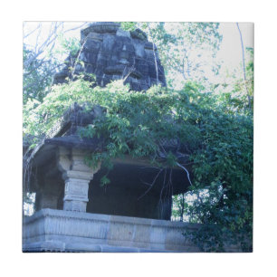 Azulejo De Cerámica Edificio de la jungla