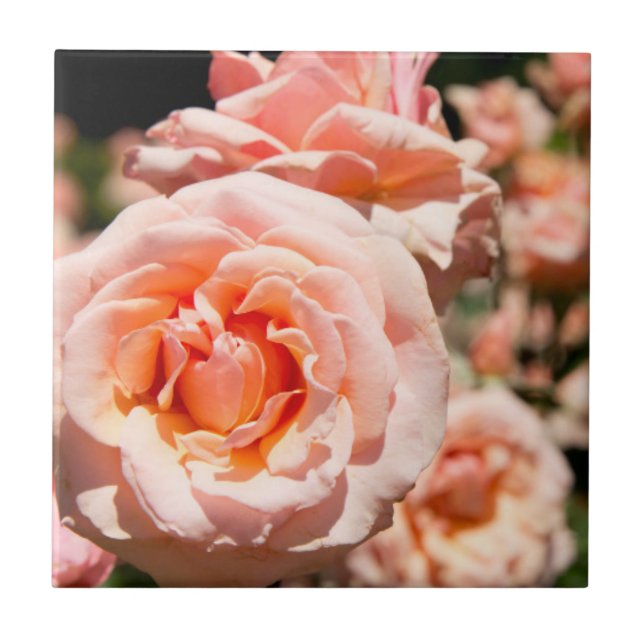 Azulejo De Cerámica EE.UU., Alabama, Theodore Near Mobile 5 (Frente)