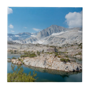 Azulejo De Cerámica EE. UU., California, Bosque Nacional Inyo 3