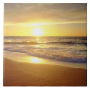 Azulejo De Cerámica EE.UU., California, San Diego. La Jolla