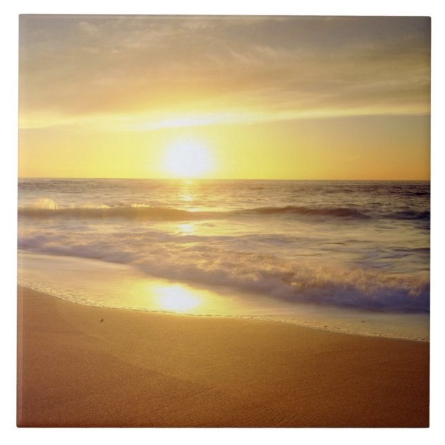 Azulejo De Cerámica EE.UU., California, San Diego. La Jolla (Frente)