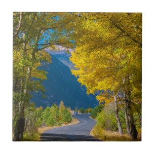 Azulejo De Cerámica EE. UU., Colorado. Carretera flanqueada por álamos